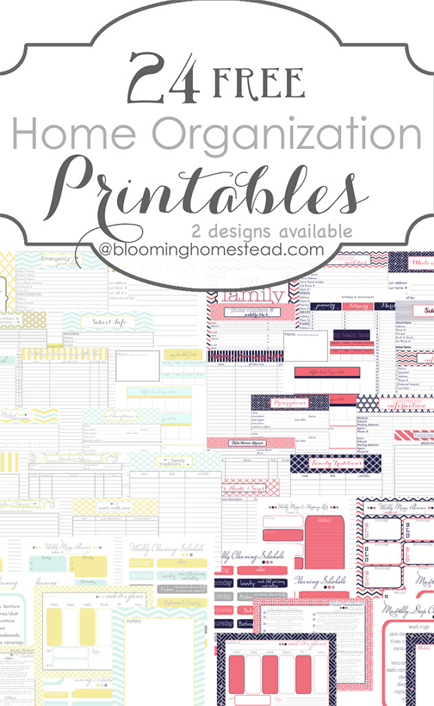 15 Free Printables That Will Make You An Organization