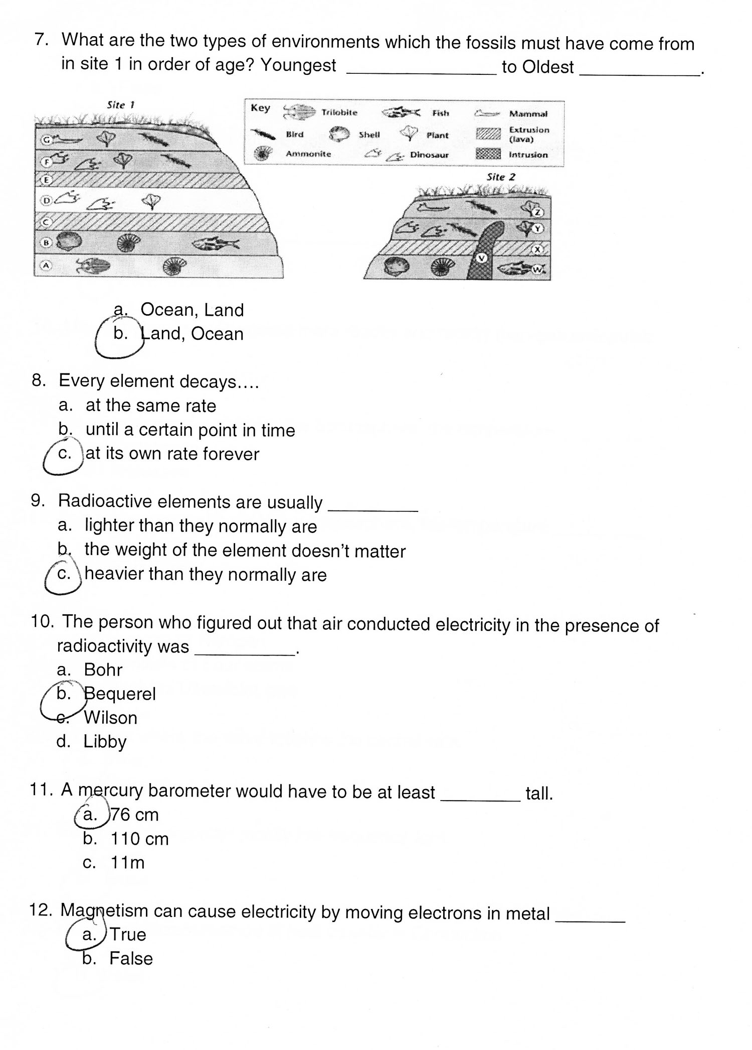 17 Best Images Of English Worksheets For 8th Graders 8th 
