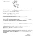 19 Best Images Of Cells Worksheets Grade 7 Plant And