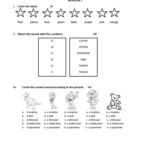 3rd Grade Revison Worksheet Free ESL Printable