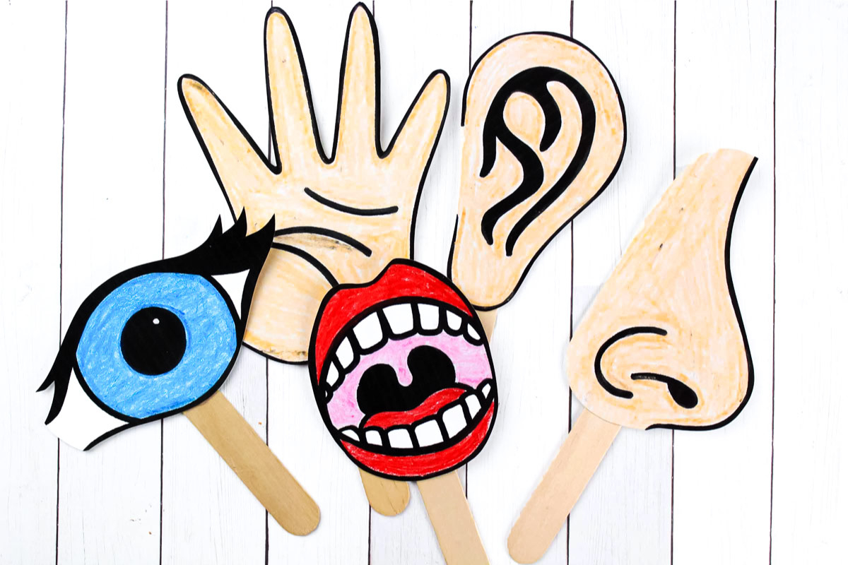 Download These Free Printable 5 Senses For Kids Puppets To 