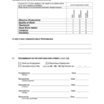 Fillable 90 Day Evaluation And Performance Review Form
