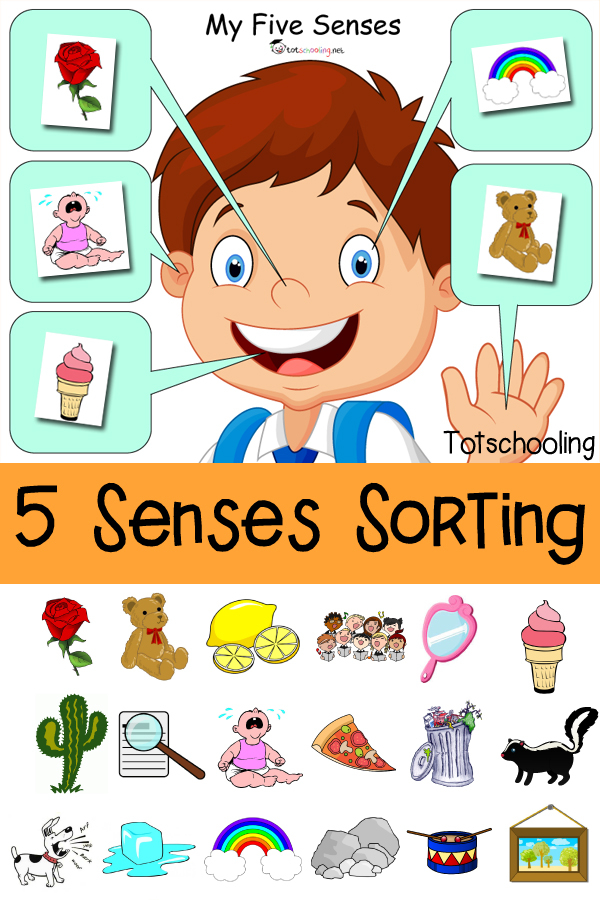Five Senses Sorting Printable Totschooling Toddler 