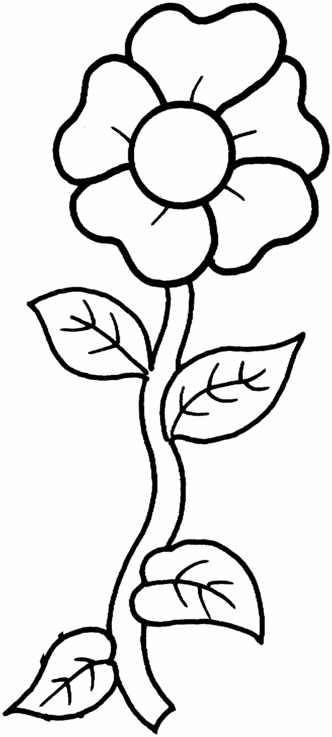 Free Printable Flower Coloring Pages For Kids Best 
