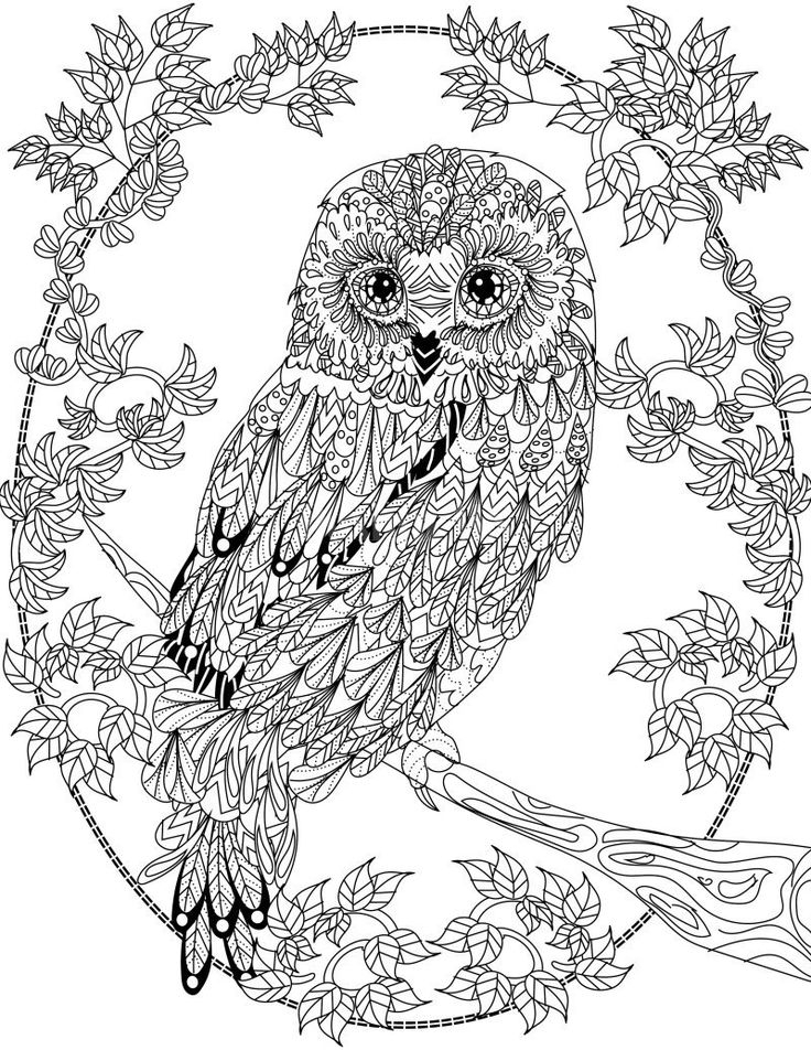 OWL Coloring Pages For Adults Free Detailed Owl Coloring