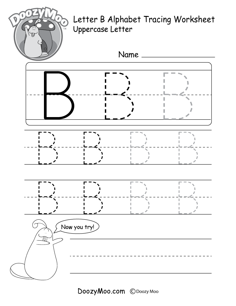 Uppercase Letter B Tracing Worksheet Doozy Moo