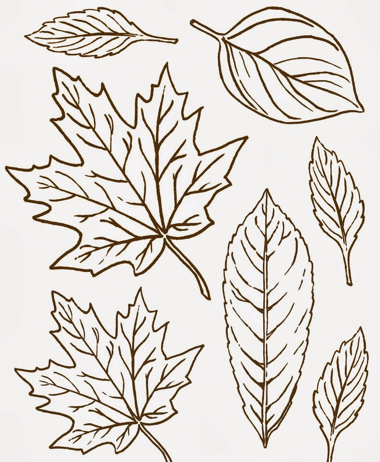 20 Free Printable Wood Burning Patterns For Beginners