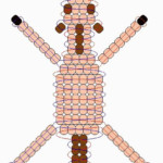 39 Best Pony Bead Patterns Images On Pinterest Pony Bead