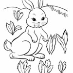 60 Rabbit Shape Templates And Crafts Colouring Pages