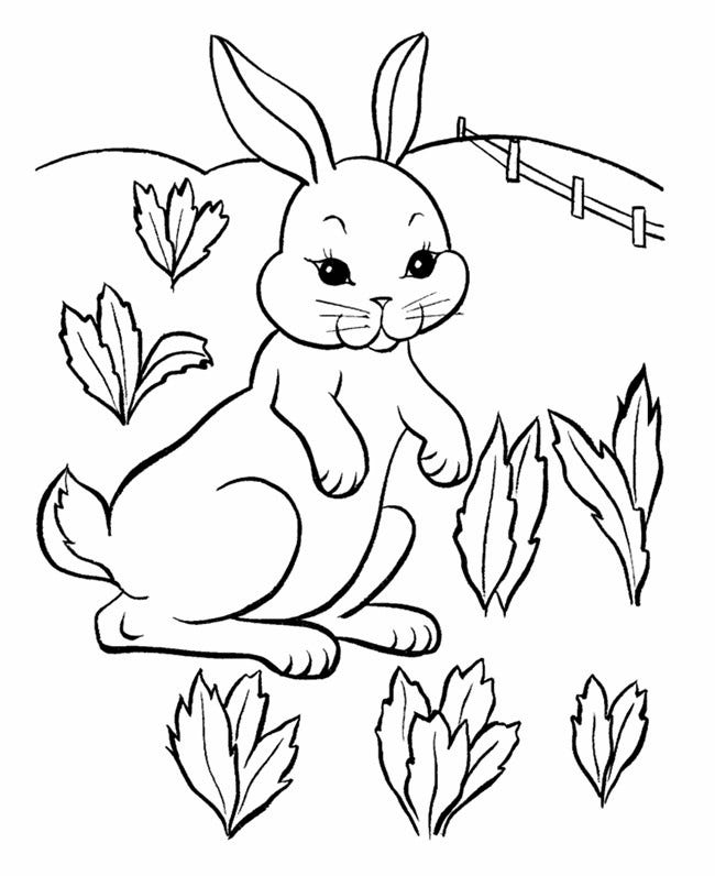 60 Rabbit Shape Templates And Crafts Colouring Pages 