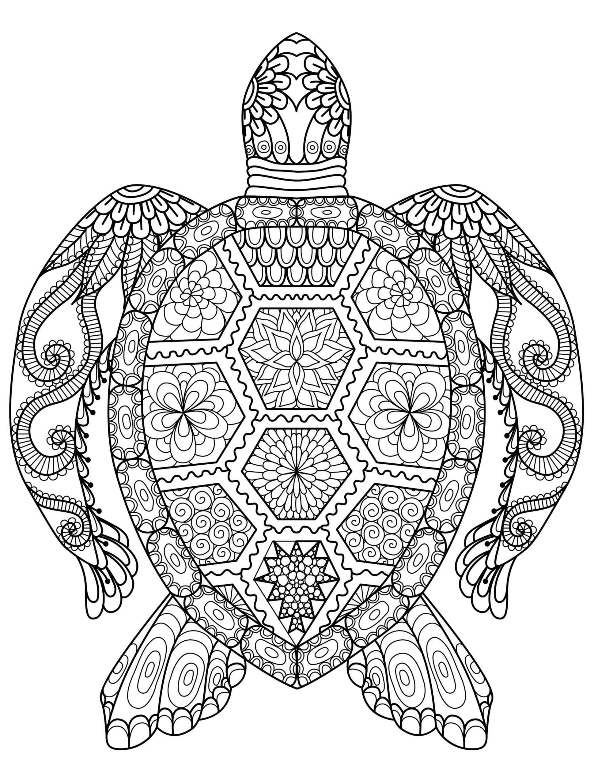 Adult Coloring Pages Animals Best Coloring Pages For Kids