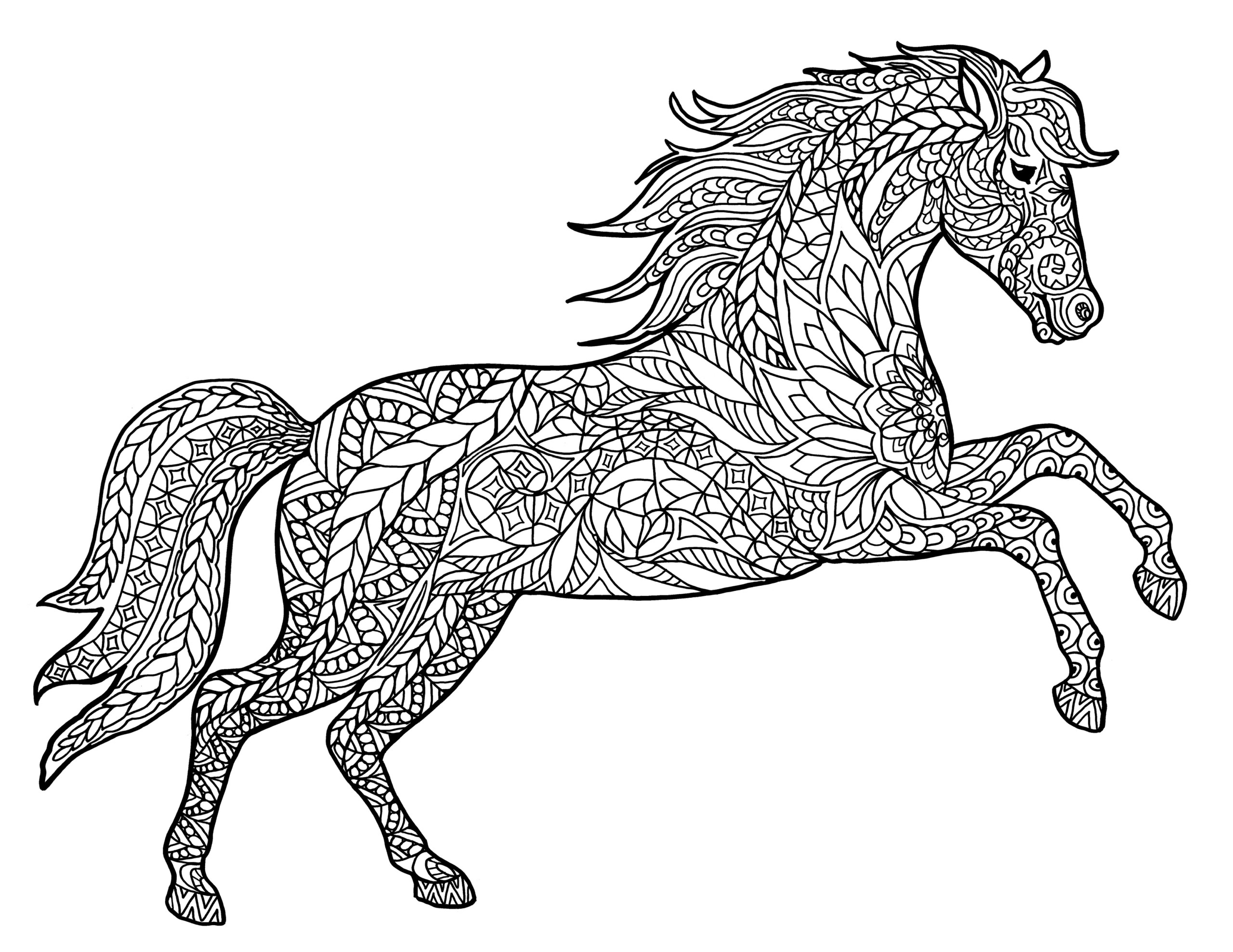 Animal Coloring Pages For Adults Best Coloring Pages For 