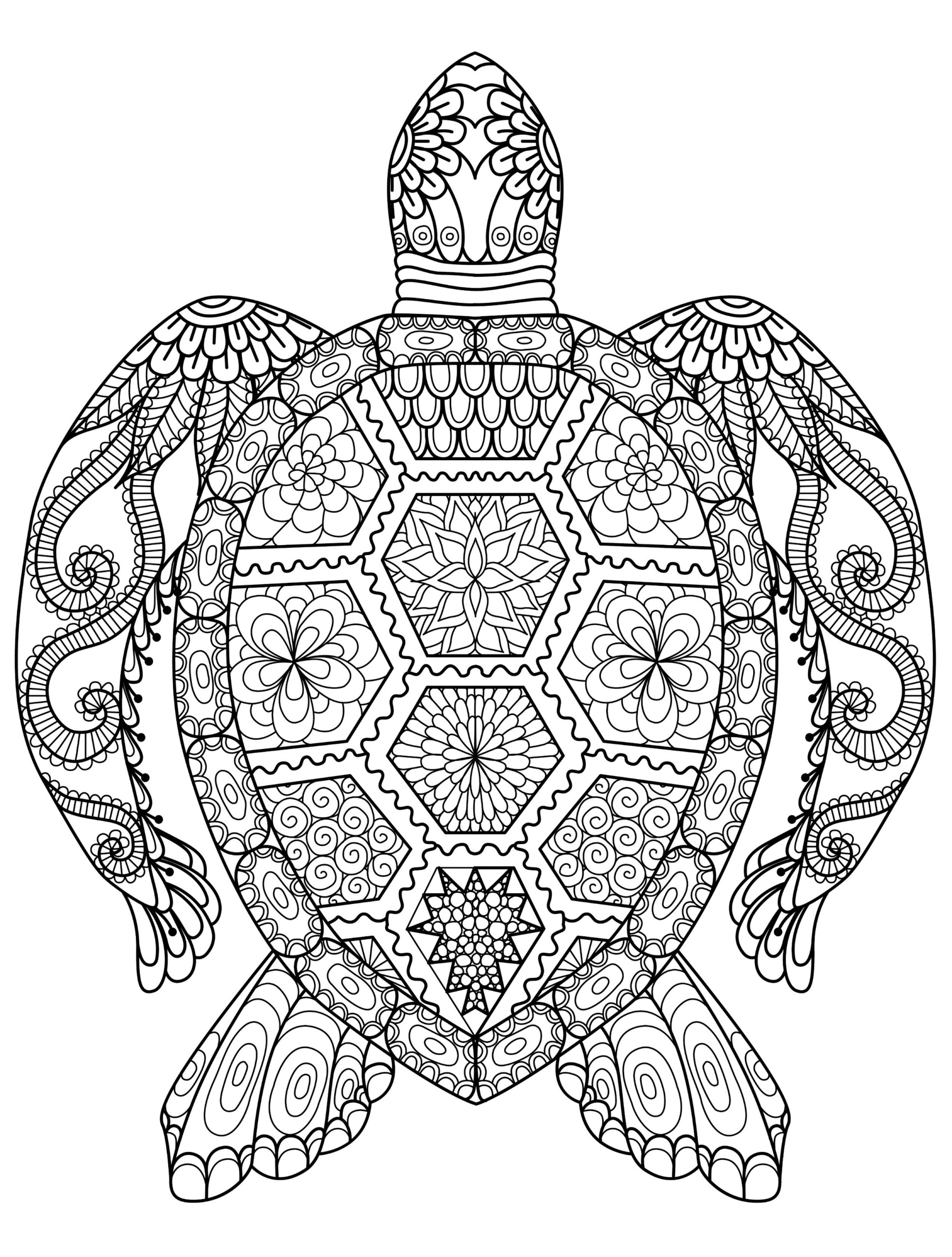 Animal Coloring Pages For Adults Best Coloring Pages For 