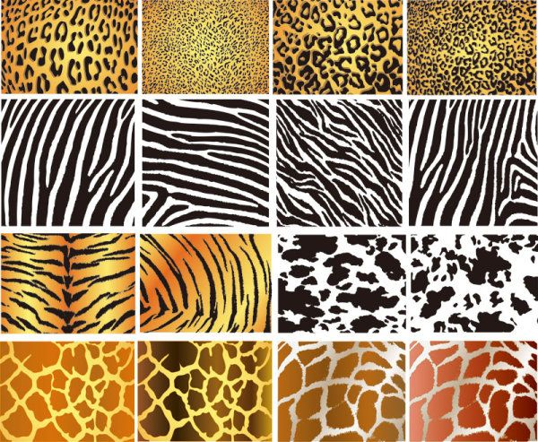 Animal Skin Patterns Illustration Of Animal Skin 