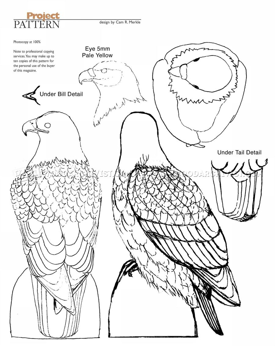 Bald Eagle Carving Wood Carving Patterns WoodArchivist