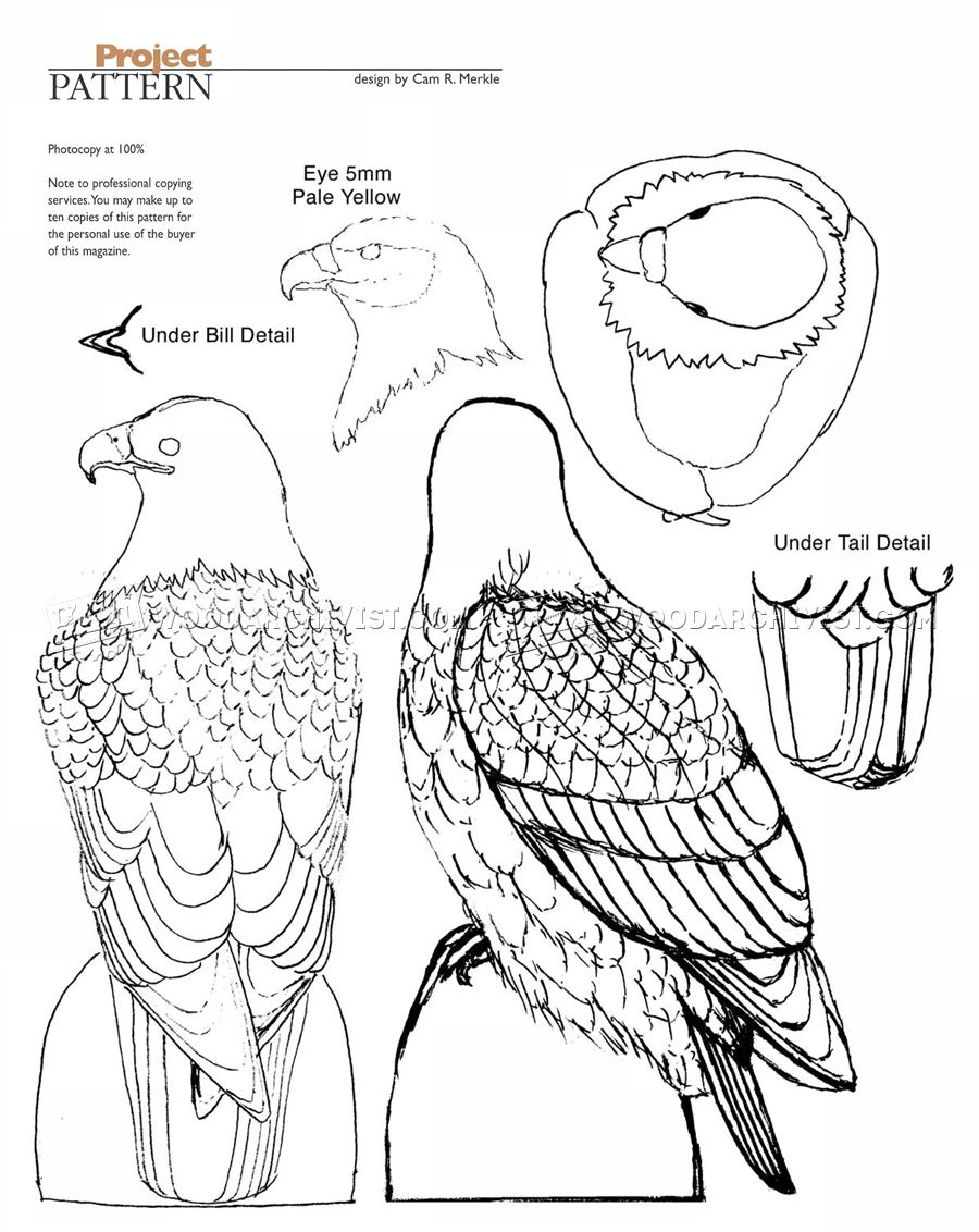 Bald Eagle Carving Wood Carving Patterns WoodArchivist