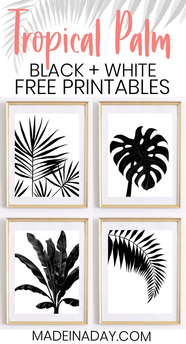 Black White Tropical Palm Leaf Wall Art Printables 