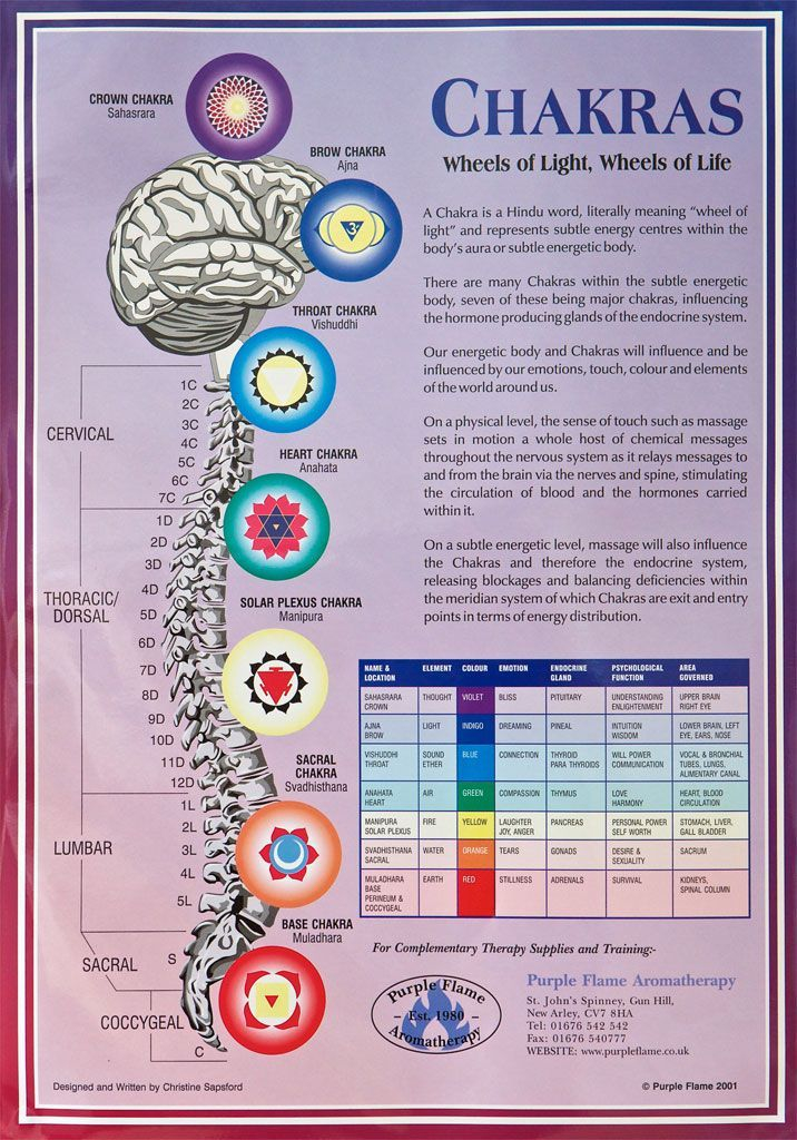 Chakras Chart A3 Poster Wall Chart Chakra Meditation 