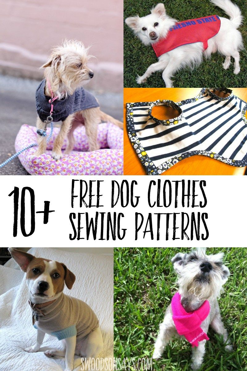 Cutest Paid Free Printable Dog Clothes Patterns Dog 