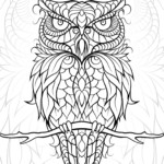 Diceowl Adult Coloring Worldwide