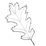 Fall Leaf Pattern Printables Just Paint It Blog