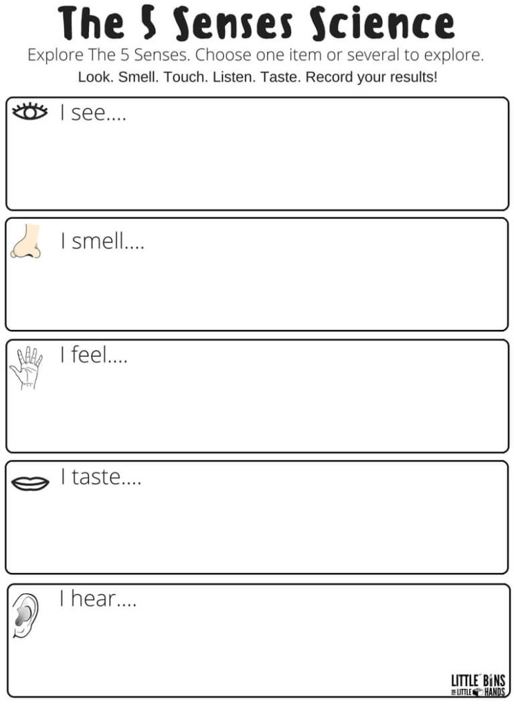 Five Senses Science Worksheet Example