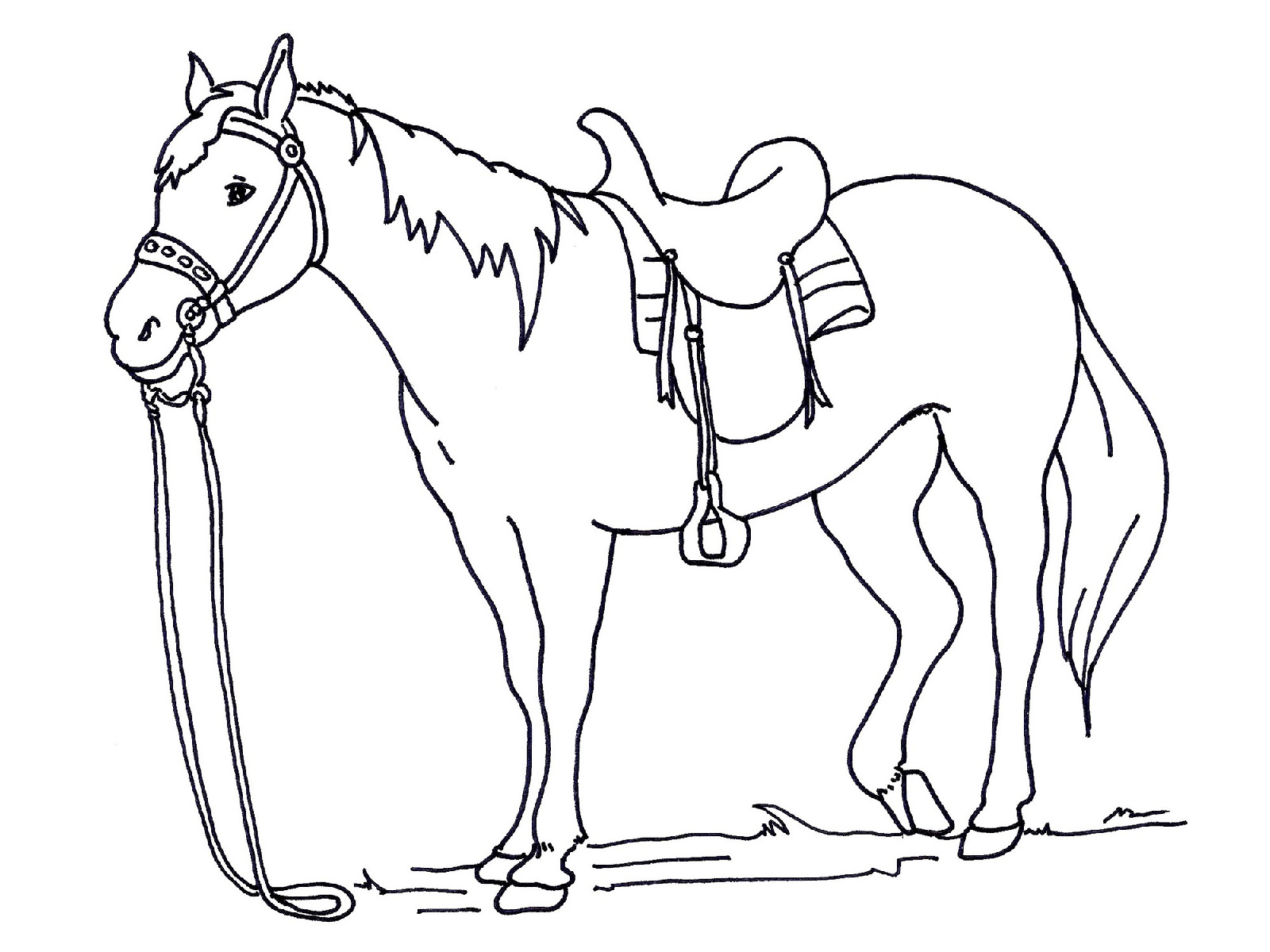 Free And Printable Horse Color Pictures Activity Shelter