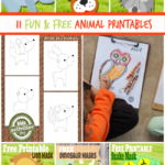 Free Animal Printables Montessori Nature