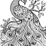 Free Download Adult Coloring Pages