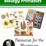 Free Montessori Biology Printables For Children