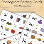 Free Montessori Printable Phonogram Sorting Trillium