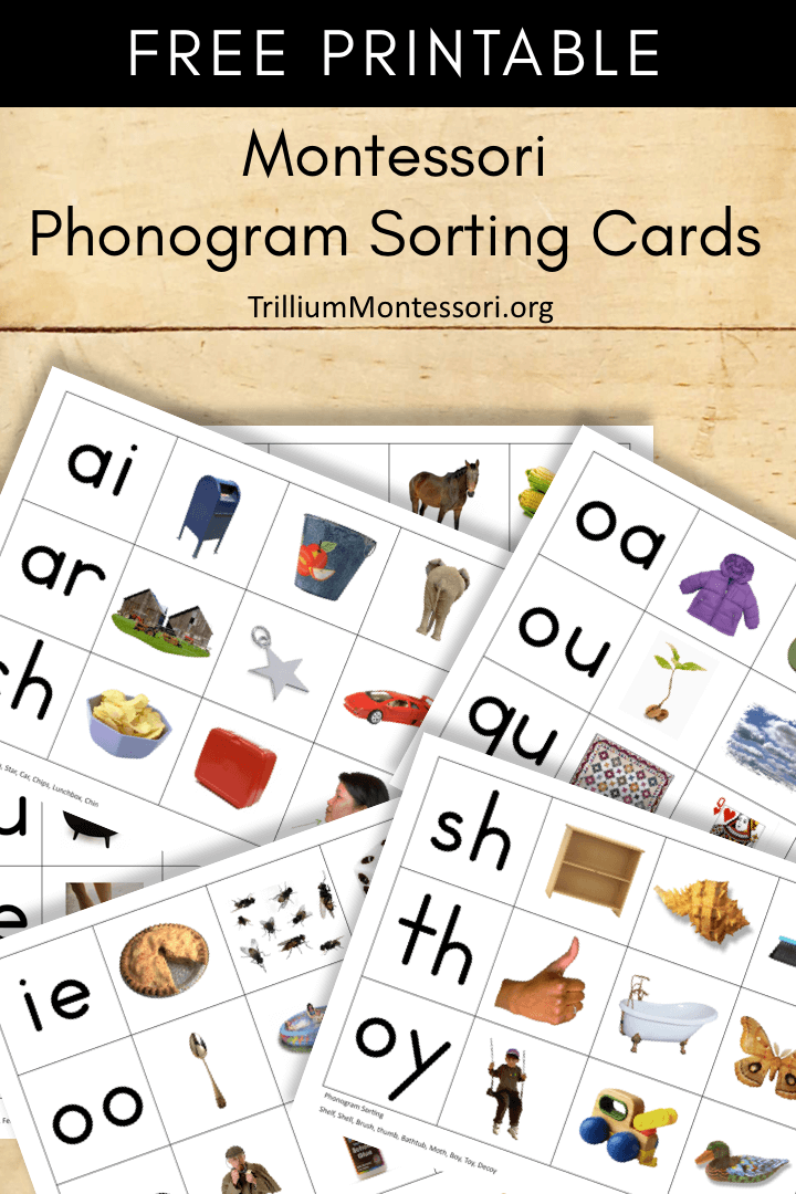 Free Montessori Printable Phonogram Sorting Trillium 
