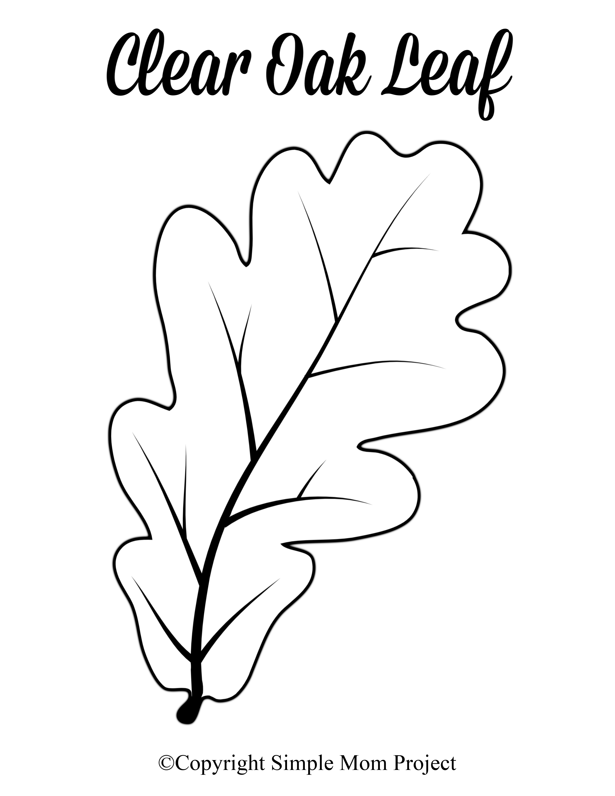 Free Printable Large Leaf Templates Stencils And Patterns 