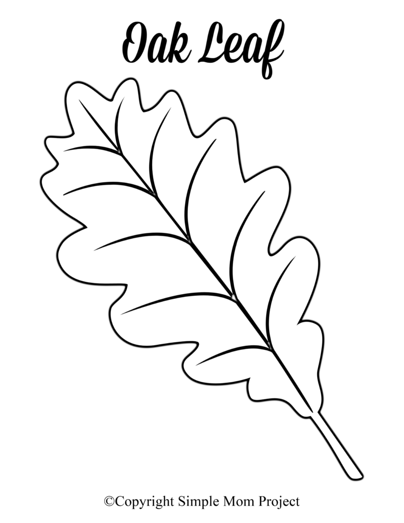 Free Printable Large Leaf Templates Stencils And Patterns