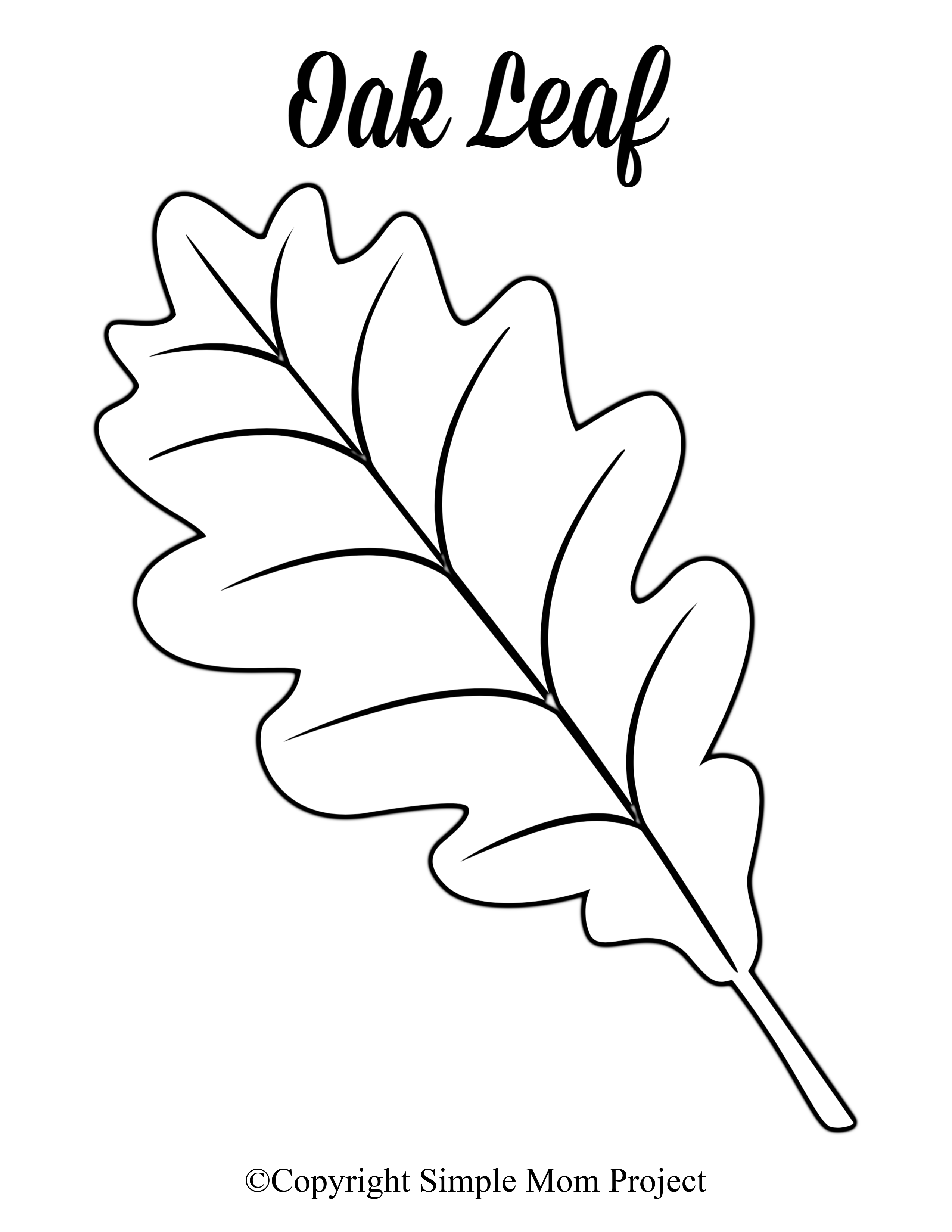 Free Printable Large Leaf Templates Stencils And Patterns 