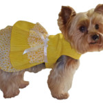 Free Printable Sewing Patterns For Dog Clothes That Are