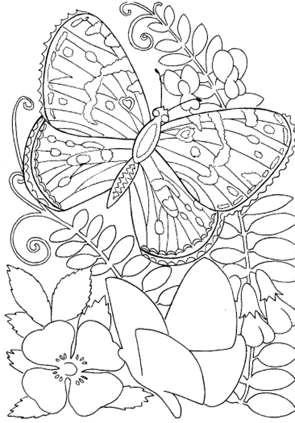 Free Printable Spring Coloring Pages For Adults Coloring 