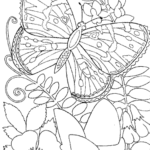 Free Printable Spring Coloring Pages For Adults Coloring