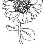 Free Sunflower Cut Out Patterns Sketch Coloring Page