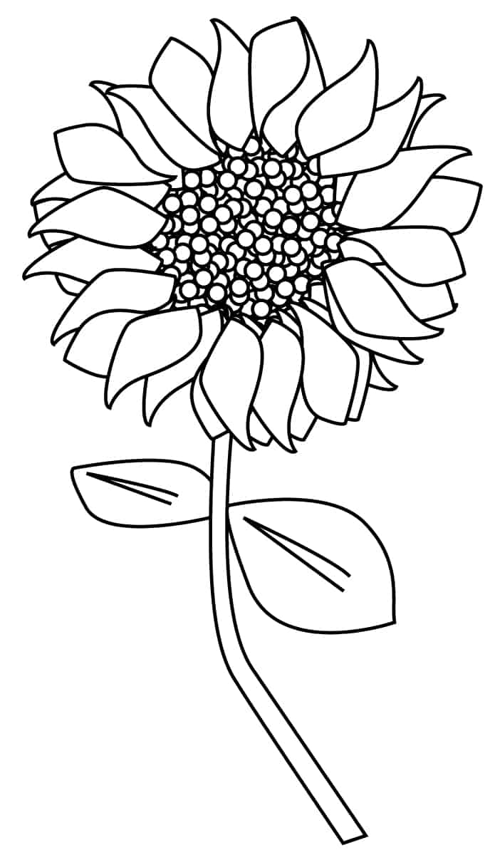 Free Sunflower Cut Out Patterns Sketch Coloring Page