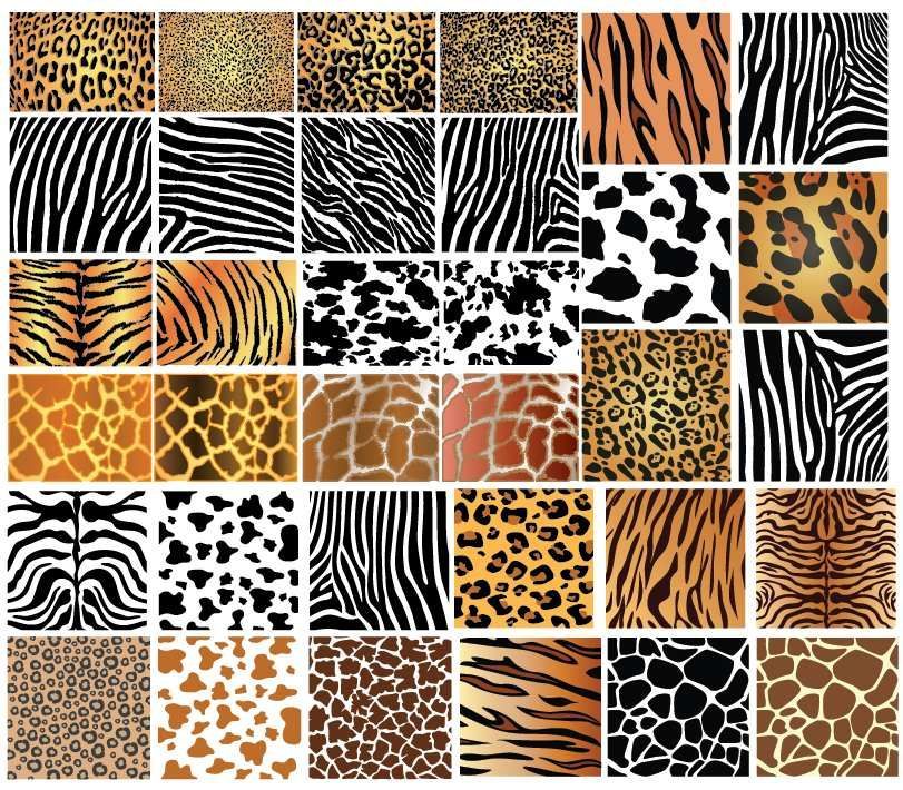 Http www deluxevectors images sample animal skin 