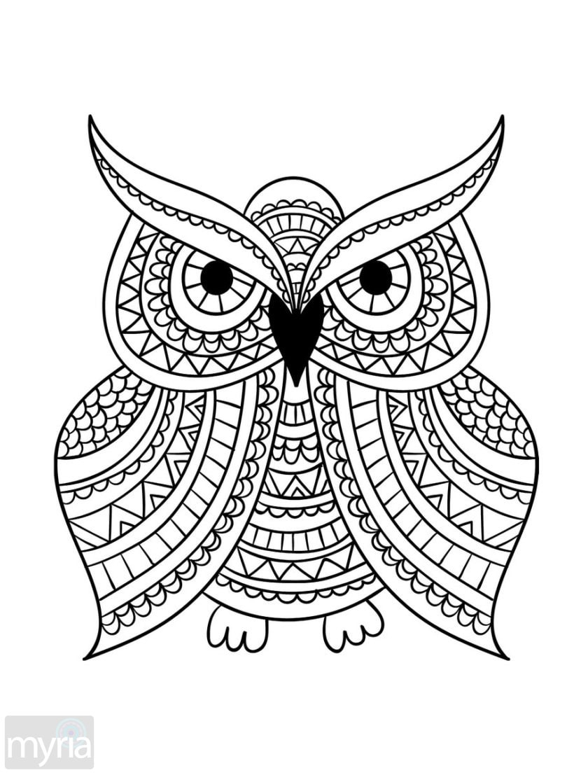 Large Print Adult Coloring Book 1 Big Beautiful 
