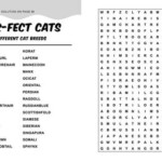 Large Print Wordsearch For Seniors Large Print Word Search