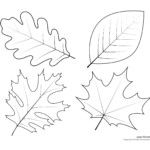 Leaf Templates Leaf Coloring Pages For Kids Leaf