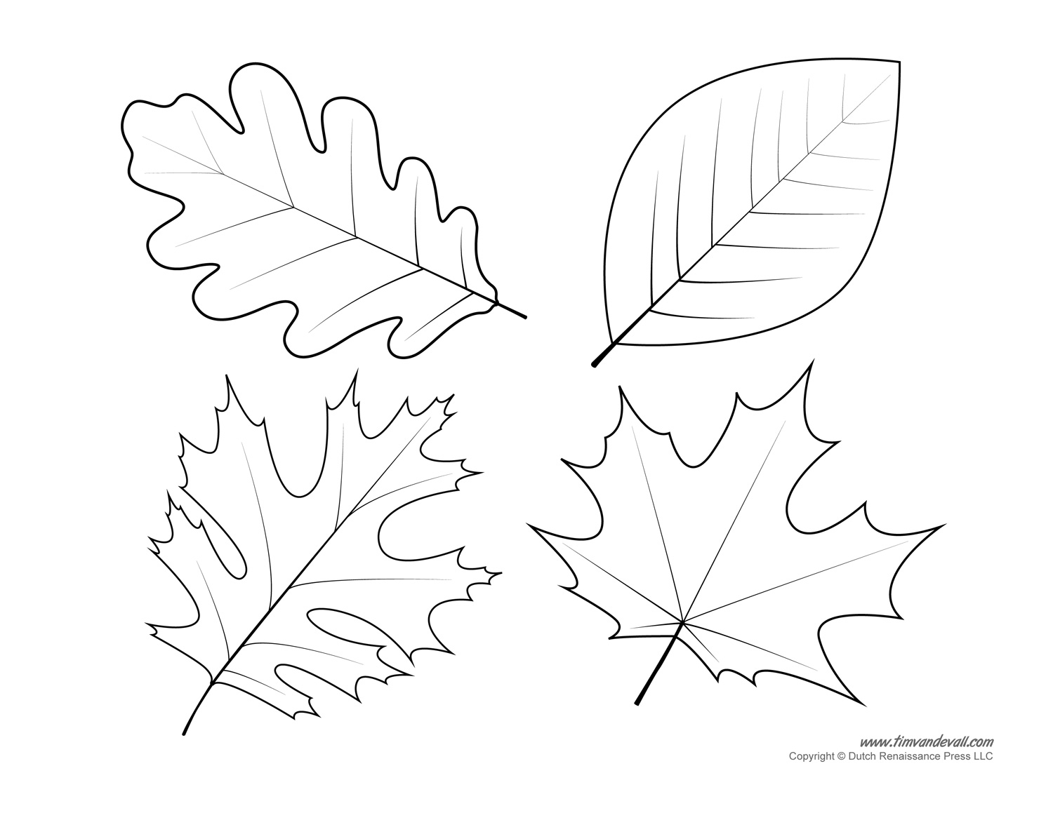 Leaf Templates Leaf Coloring Pages For Kids Leaf 