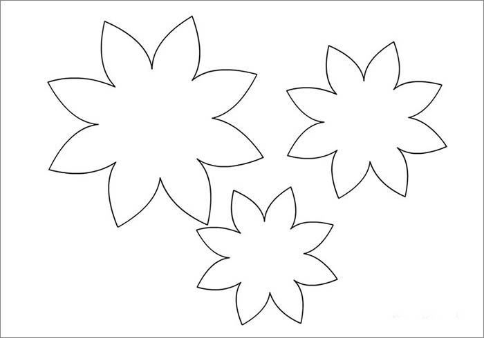 Lily Pad Template 15 700 X 490 Carwad In 2025 