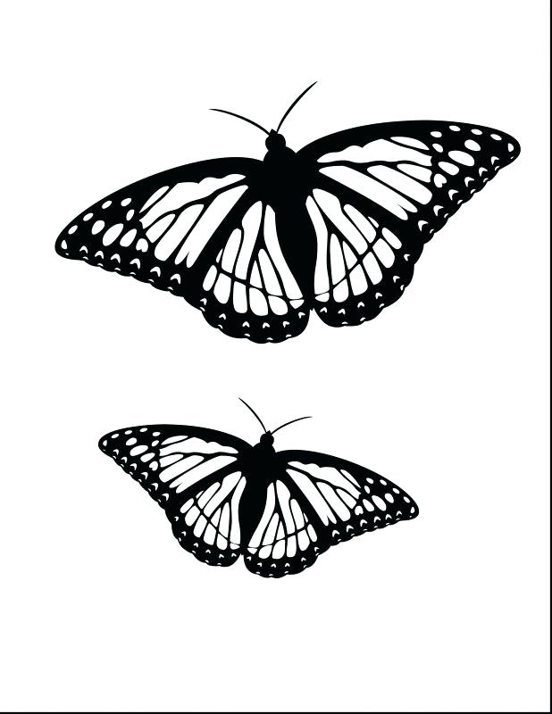 Monarch Butterfly Coloring Pages At GetColorings 