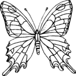 Monarch Butterfly Coloring Pages Batman Coloring Pages