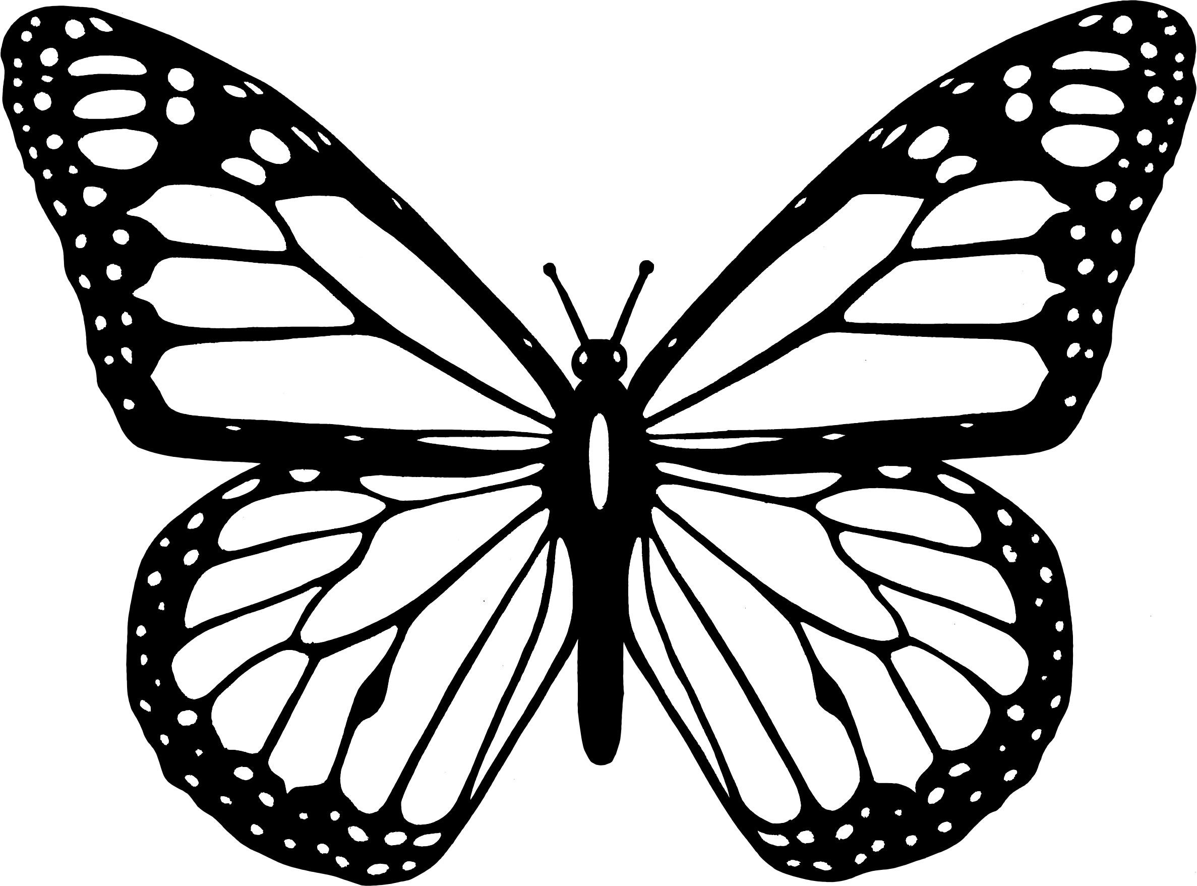 Monarch Butterfly Coloring Pages To Print Free Coloring 