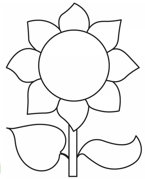 Pin By Coloring Fun On Flowers And Plants Sunflower 